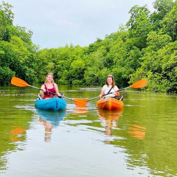 THE GREEN TOUR: Jozani Forest & Mangrove Kayaking Experience 1