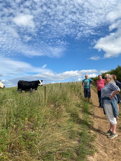 Picture 12 for Activity Jedburgh, Scottish Borders: Bairnkine Farm Tour with Lucy 3