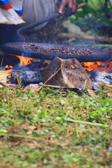 Picture 38 for Activity Addis Ababa: Menagesha Suba Forest Day Trip with Guide 3