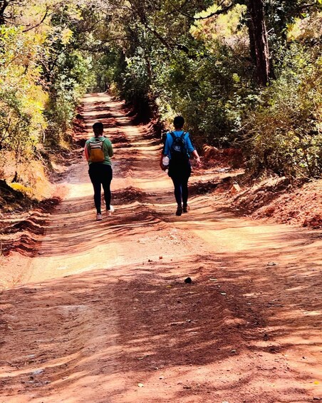 Addis Ababa: Menagesha Suba Forest Day Trip with Guide 1