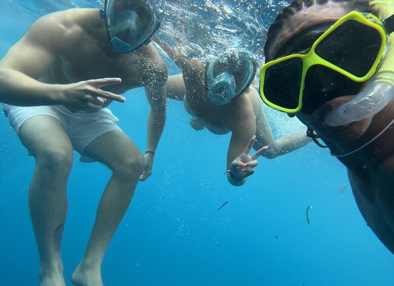Mnemba dolphin & snorkel: from matemwe, pwani, kwingwa, Uroa 1