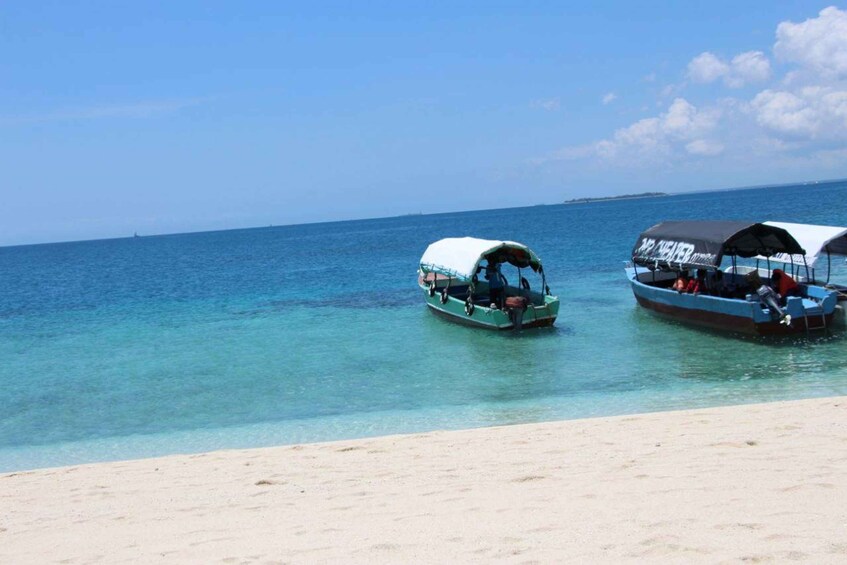 Picture 1 for Activity Mnemba dolphin & snorkel: from matemwe, pwani, kwingwa, Uroa 3