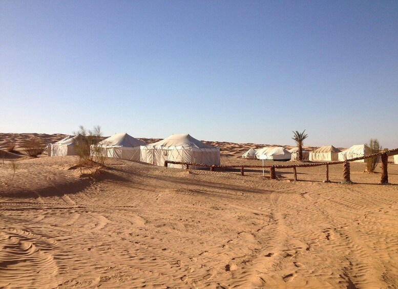 Desert Safari 3 Days: 2 Nights, 4x4, Quad & Camel Experience 1