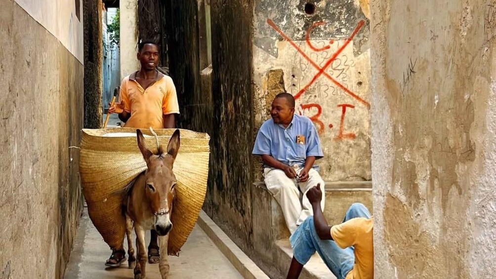 A narrow alleyway with a donkey carrying a large woven basket, two men sitting on the ground, and graffiti on the walls. 4