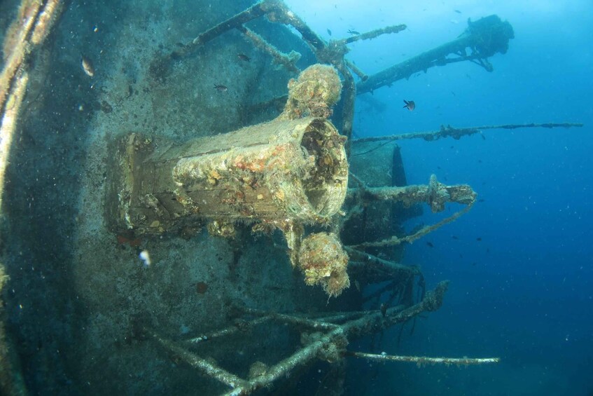 Picture 16 for Activity 4 Jewels of Zadar, Dugi otok, sunken ship, tunnel - Half day 3
