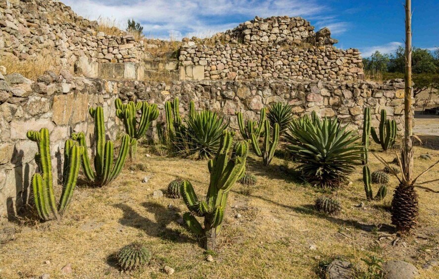 Picture 9 for Activity Oaxaca: Private Mitla Tour with Chocolate Tasting by Car 2