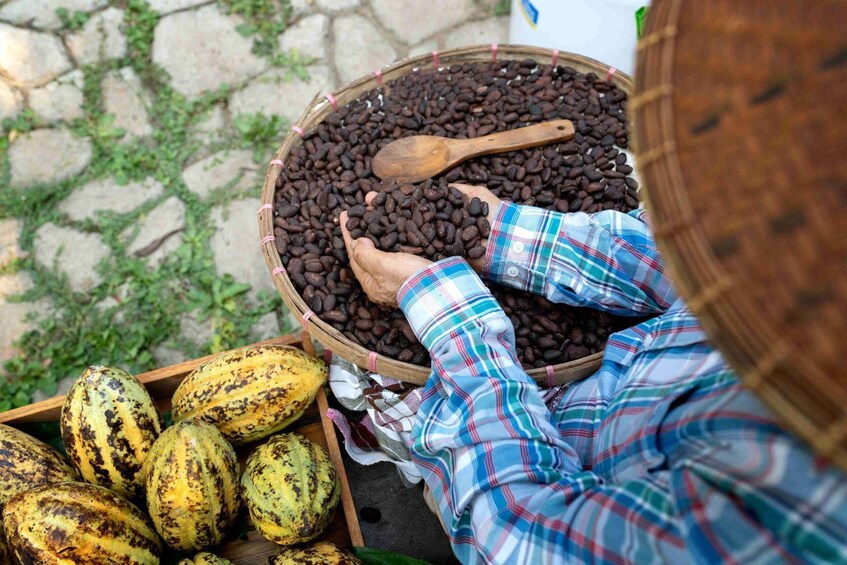 Picture 7 for Activity Oaxaca: Private Mitla Tour with Chocolate Tasting by Car 3