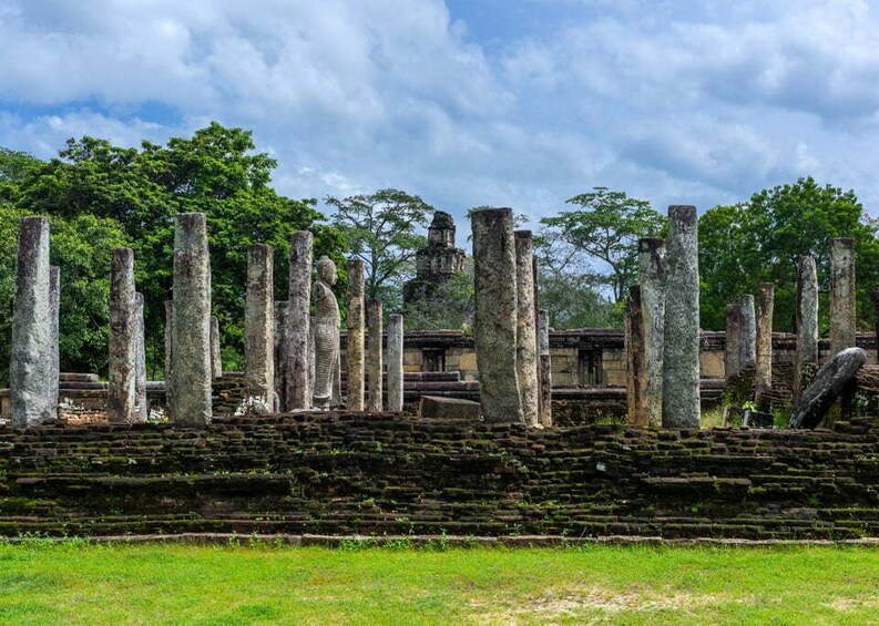 Ancient stone columns and ruins in a forested area. 3