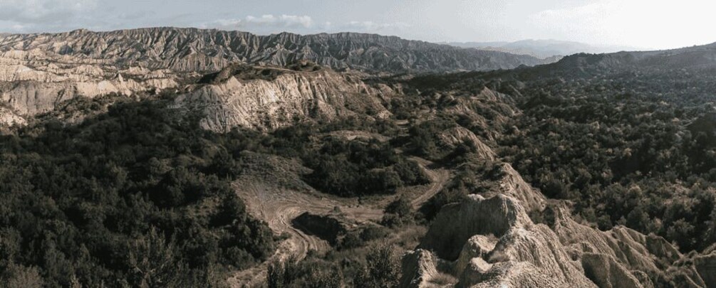 Picture 1 for Activity From Tbilisi: Vashlovani National Park Day Trip 3