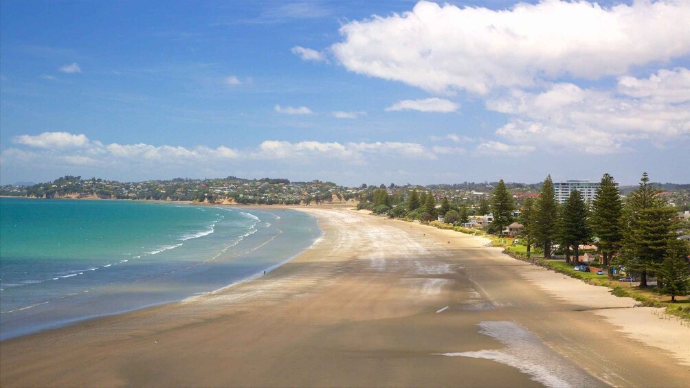 A coastal beach with clear turquoise waters, a sandy shore, and a backdrop of residential buildings and trees. 3