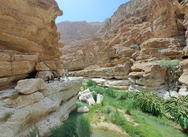 Picture 5 for Activity From Muscat: Guided Overnight Desert Camp Tour 3