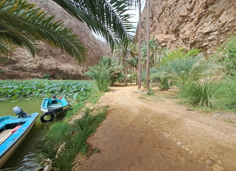Picture 16 for Activity From Muscat: Guided Overnight Desert Camp Tour 2