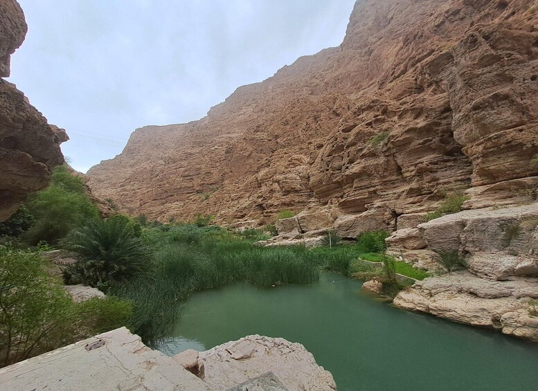 Picture 15 for Activity From Muscat: Guided Overnight Desert Camp Tour 4