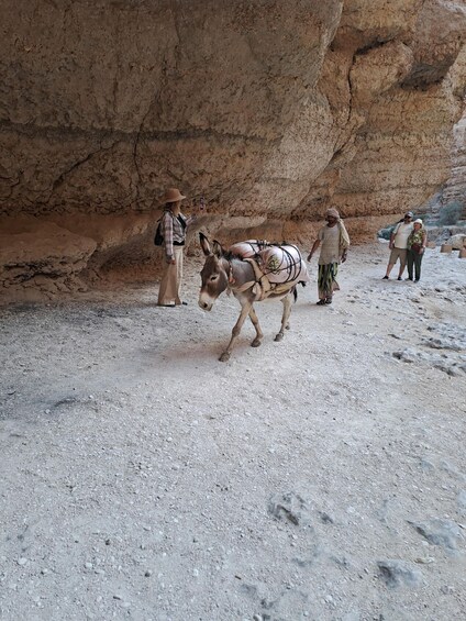 Picture 19 for Activity From Muscat: Guided Overnight Desert Camp Tour 5