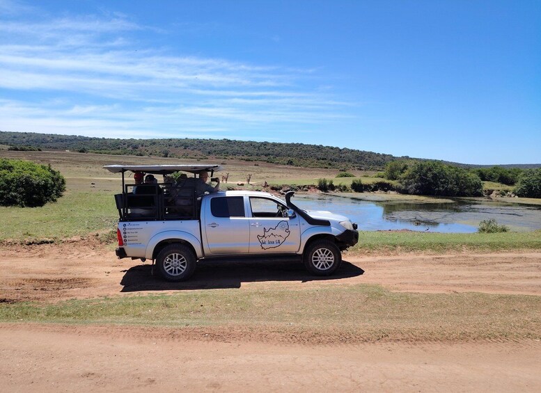 Un camionnette blanche était garée sur un chemin de terre, au bord d’une rivière. 1