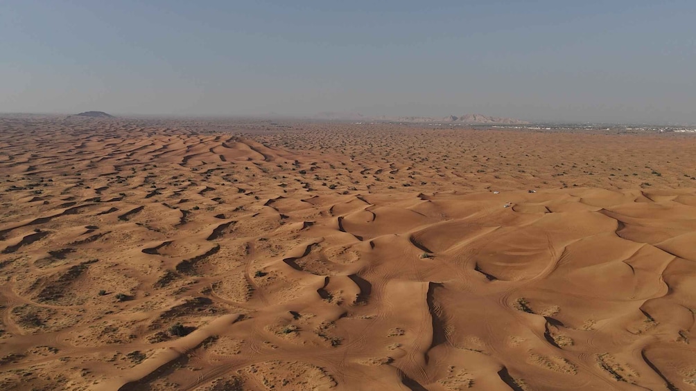 A vast desert landscape with undulating sand dunes and sparse vegetation. 4