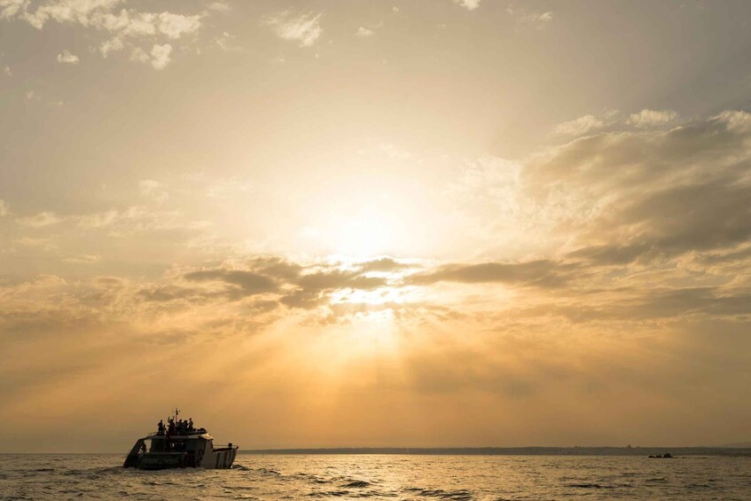 A boat on the water with the sun setting in the background. 1