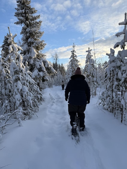 A person snowshoeing through a snow-covered forest path. 5