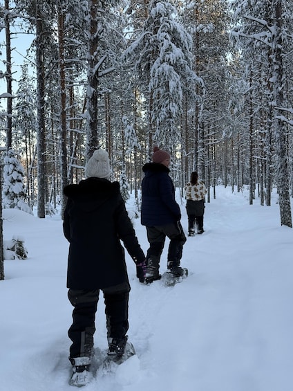 Three people snowshoeing in a snowy forest. 1