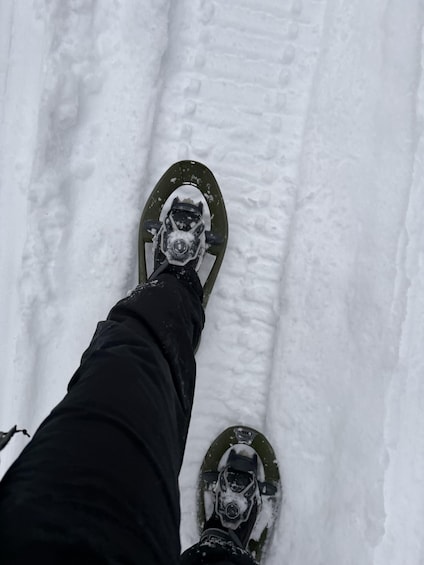A pair of snowshoes on a snowy trail. 4
