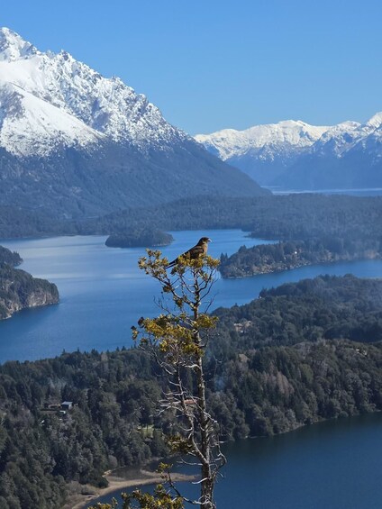 All of Bariloche 1
