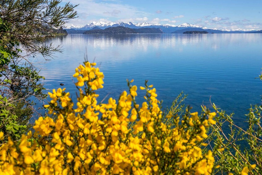 Bariloche in a Nutshell 1