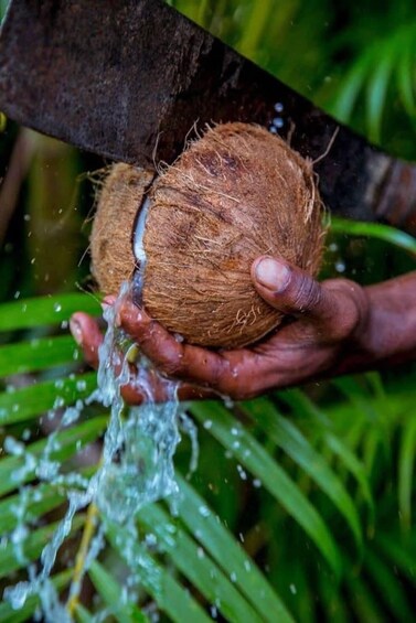 A coconut being washed under a running water tap. 5