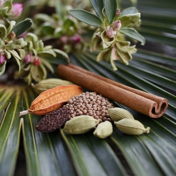 A variety of spices and a cinnamon stick on a green leaf. 3