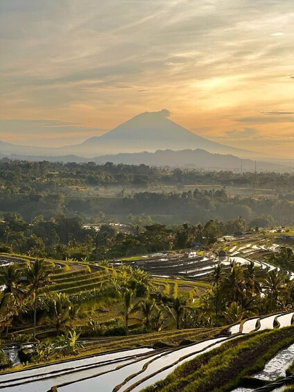 Terraced rice fields, palm trees, and a mountain in the background. 2