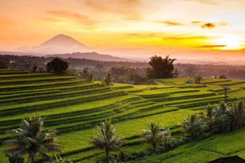 Terraced rice fields, a mountain, and a sunset. 1