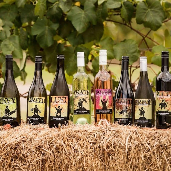 A row of wine bottles with labels featuring a monkey character, set against a backdrop of green leaves and a straw bale. 1