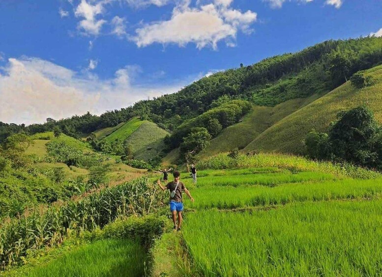 Picture 2 for Activity Chiang Rai: Adventure Trekking & Bamboo cooking 3