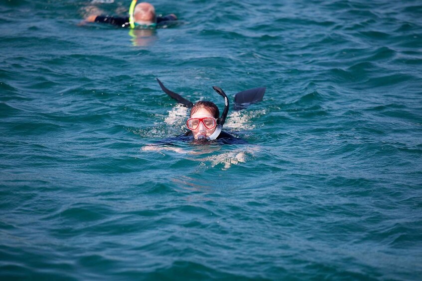 Picture 3 for Activity Galapagos: Puerto Ayora Guided Yacht Tour and Snorkeling 3