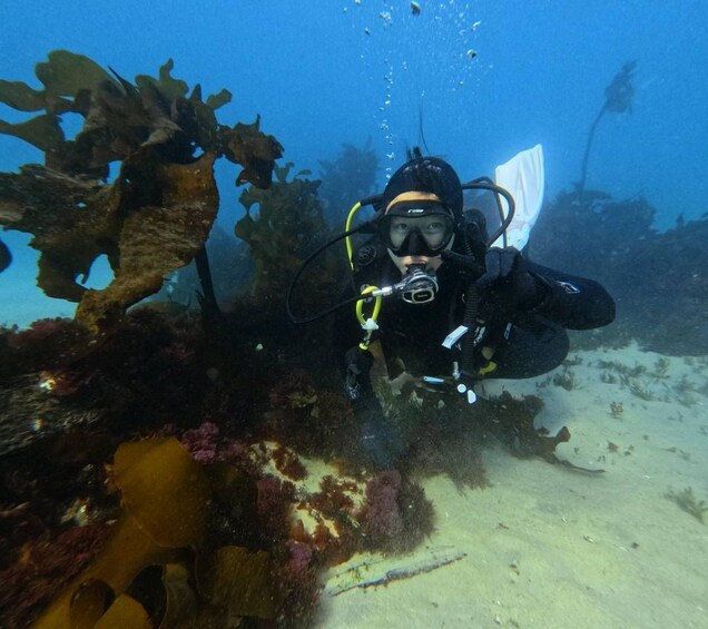 Picture 2 for Activity Cape Town: Scuba Diving Experience for Beginners 4