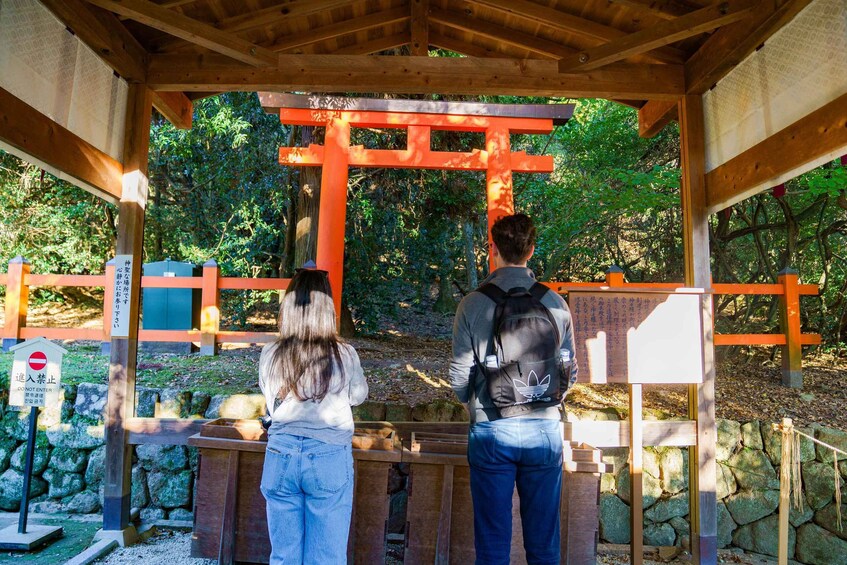 Picture 15 for Activity Nara: Must-see attractions tour with English-Speaking Guide 5