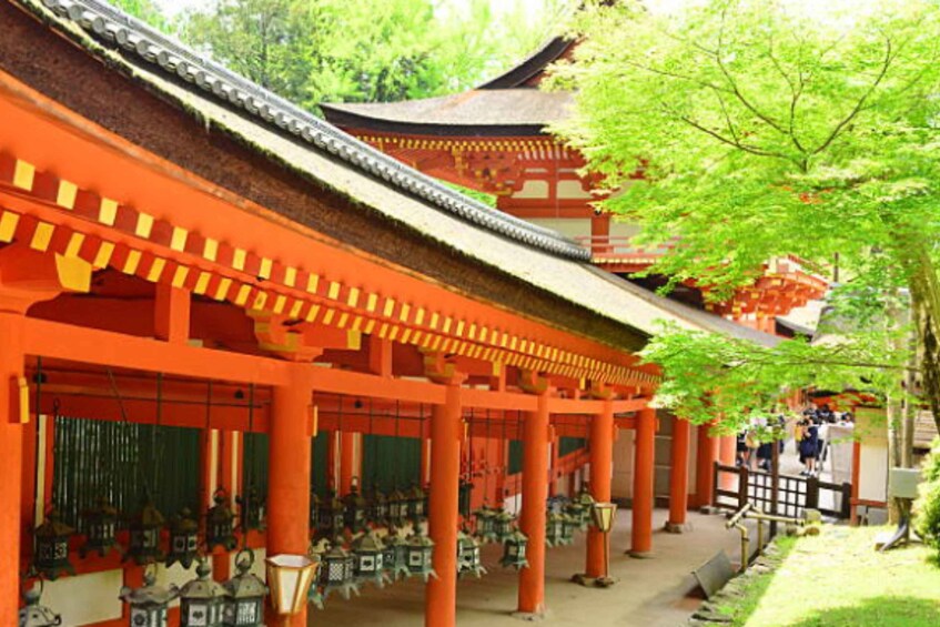 A traditional Japanese temple with red pillars and green trees. 5