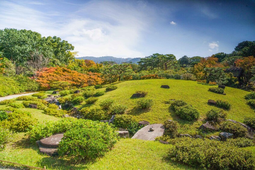 Picture 1 for Activity Nara: Must-see attractions tour with English-Speaking Guide 4