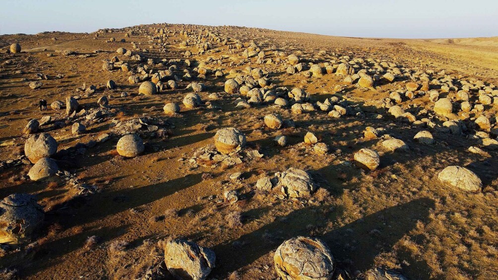 Picture 9 for Activity Expedition through the wastelands and oases of Mangystau 3