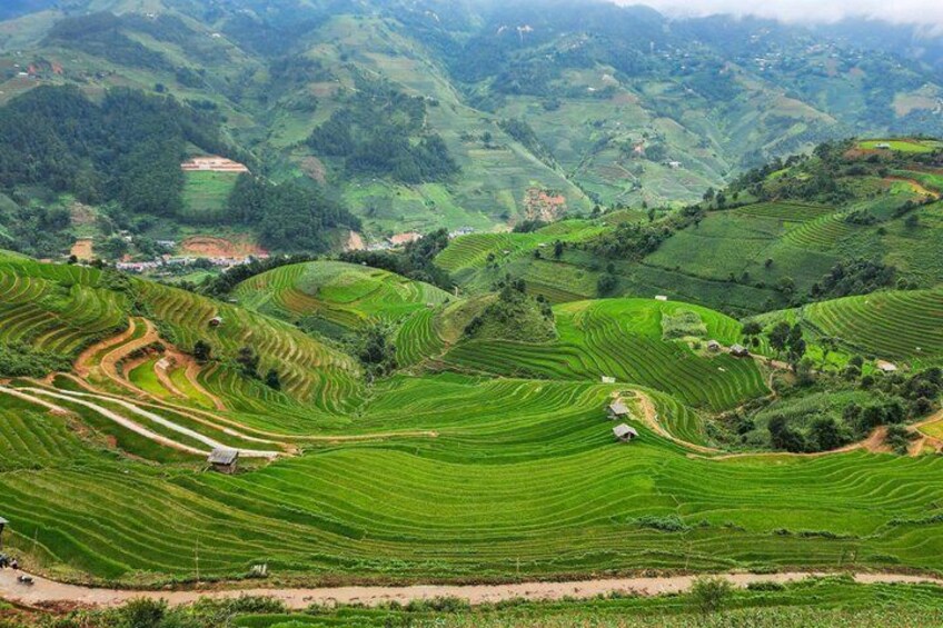 Terraced rice fields in a hilly landscape. 2