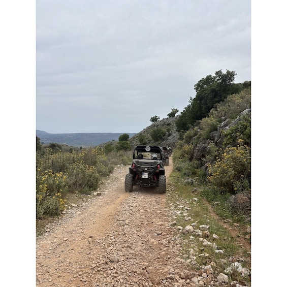 A vehicle on a rocky path with yellow flowers and a hilly landscape in the background. 4