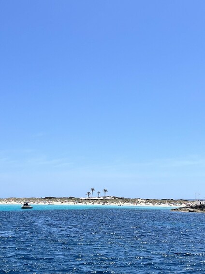 Picture 5 for Activity Private Day Charter to Formentera - water toys included 4