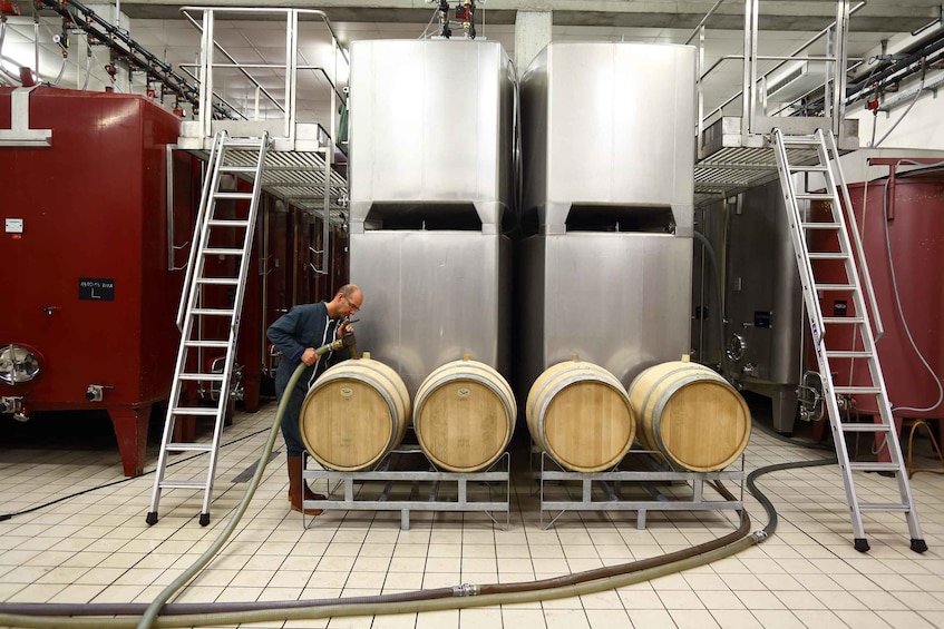 Picture 6 for Activity Vitteaut-Alberti: complete tasting of our Crémants de Bourgogne 3