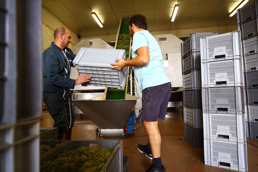 Picture 7 for Activity Vitteaut-Alberti: complete tasting of our Crémants de Bourgogne 2