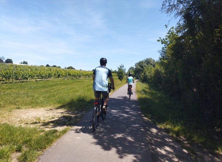 Picture 2 for Activity E-bike journey from Bordeaux to Saint-Emilion with lunch 3