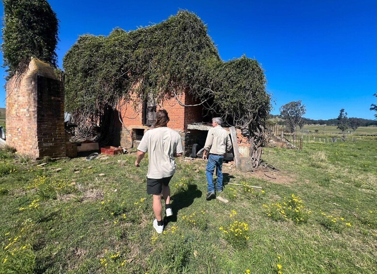 Two people walking towards a dilapidated brick building surrounded by overgrown vegetation. 5
