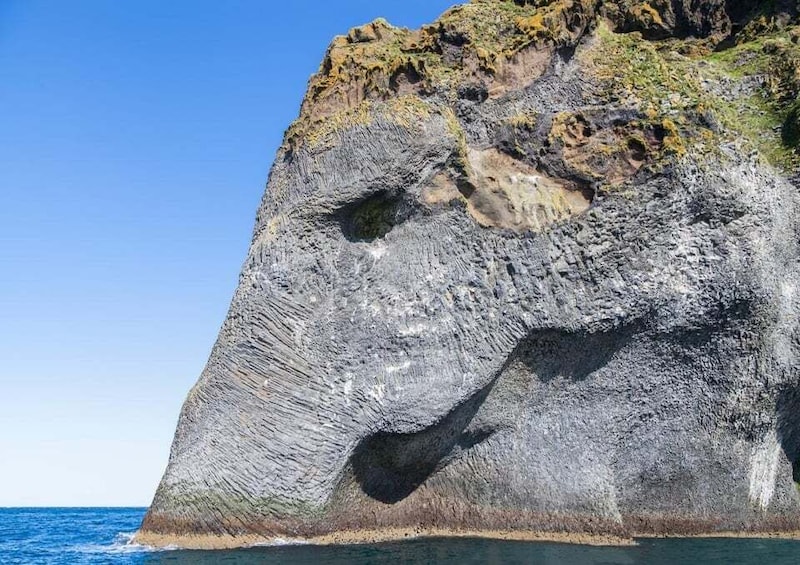 Picture 6 for Activity Vestmannaeyjar: Volcanic Vistas & Puffin Paradise ATV Tour 4