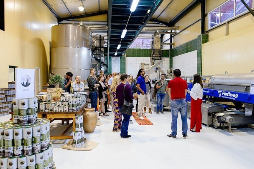 Road-trip to Lasithi, Zeus Cave, Vidiani, Krasi & Olive Mill Farm 3