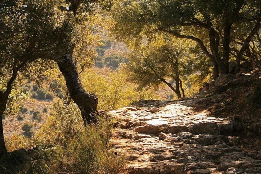 Path to the Cave of God Zeus 1