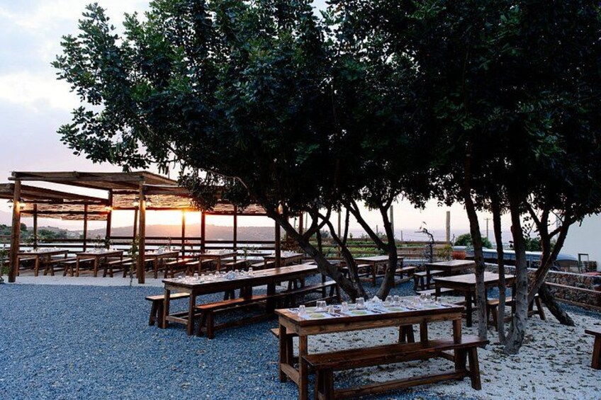 Road-trip to Lasithi, Zeus Cave, Vidiani, Krasi & Olive Mill Farm 5