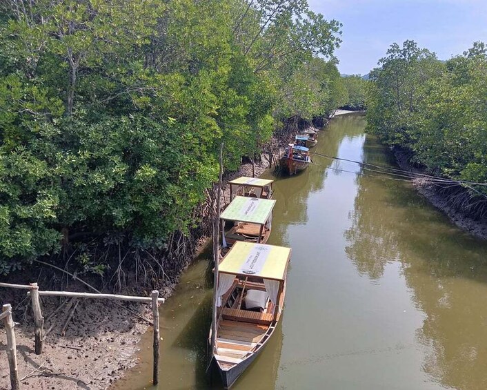 A river with boats docked along the bank, surrounded by dense greenery. 4